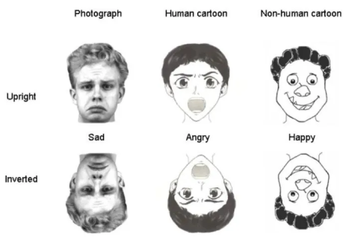 Figure  1.  Illustration  of  the  stimuli  used  in  the  facial-emotion  categorization  task