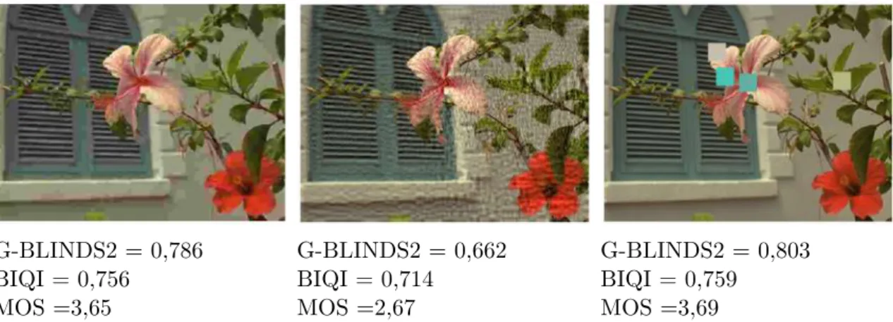 Figure 3.4 – Exemples de scores de qualité d’image obtenus grâce aux métriques sans référence G-BLINDS2 et BIQI.