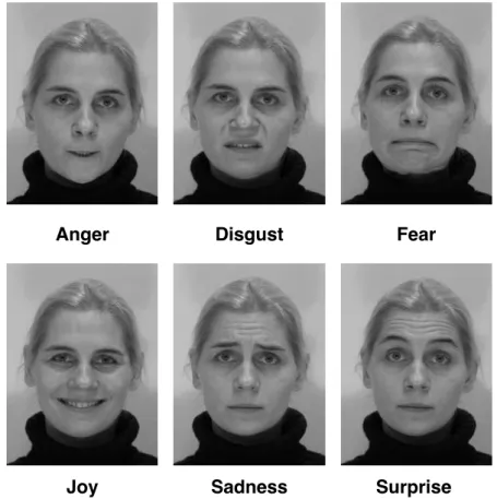Figure 2.2: Samples of basic six emotions displayed by facial expression from MMI dataset[ 133 ].