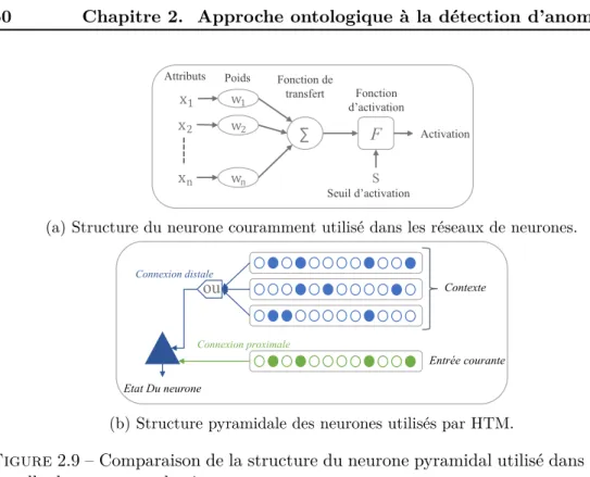 Figure 2.9 – Comparaison de la structure du neurone pyramidal utilisé dans HTM et celle des neurones classiques.
