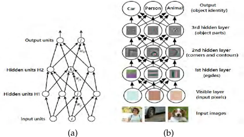 FIGURE 2.1: (a) Illustration of a multilayer network model (LeCun, Bengio, and Hinton,