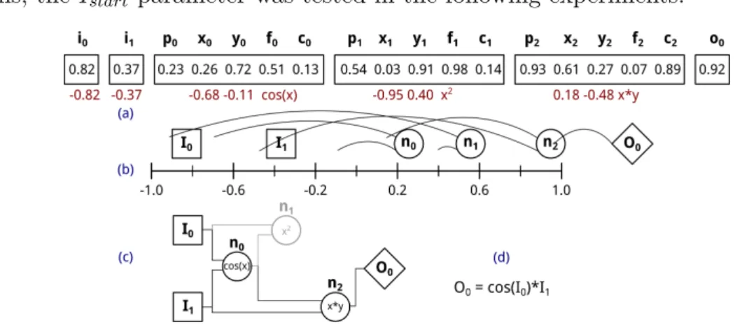 Figure 3.8: A PCGP genome (a), including input i n and positional p n genes. These are translated to