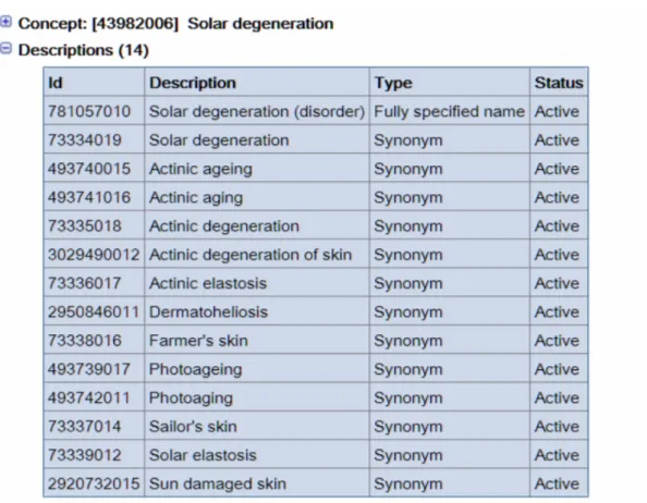 Figure 2.1 – Exemple du concept &#34;Solar degeneration&#34; dans SNOMED.