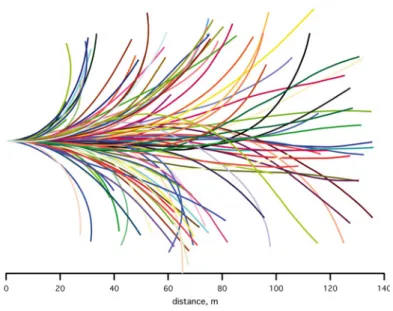 Figure 1.1: Representation of 88 trajectories acquired with 15 human subjects who were asked to walk straight forward during an experiment, c Jean-René Cazalets diﬃcult task even for Humans as shown in Fig