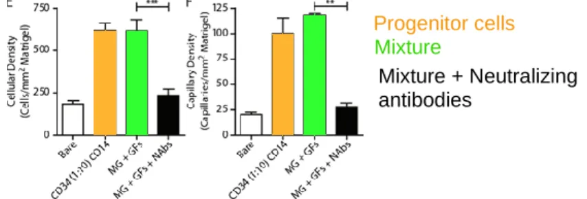 Figure 2-20 Comparative effect of progenitor cells and paracrine signals on neovascularization (G