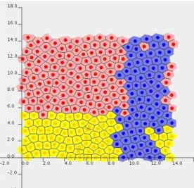 Figure 2-36 Visualization of Cell based Chaste simulation with various mutants  2.10.6  EPISIM  