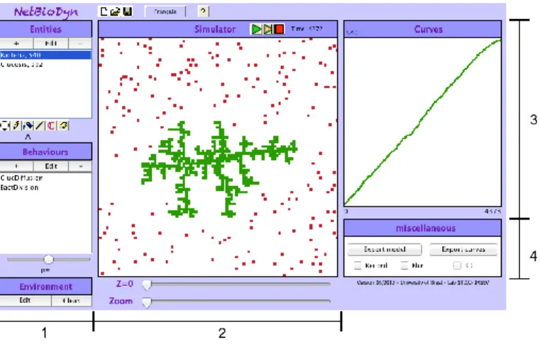 Figure 2-40 Example of bacterial growth in NetBioDyn 