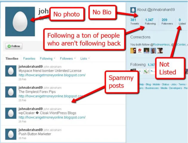 Figure 3.4: An example of an annotated spam account created on Twitter microblogging site.