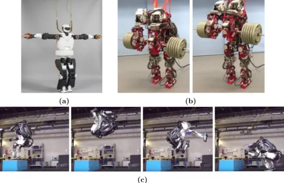 Figure 1.10: In (a) Pyrène robot holding two bricks with the grippers. In (b) a humanoid robot presented by Waseda University and Mitsubushi Heavy Industries at IROS 2017 (2017 IEEE/RSJ International Conference on Intelligent Robots and Systems)
