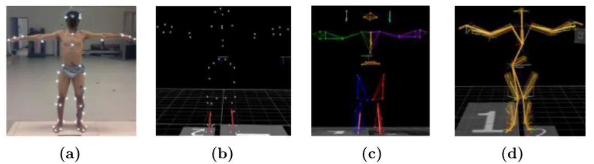 Figure 2.1: In (a), a human with passive markers on his body during a static trial recording