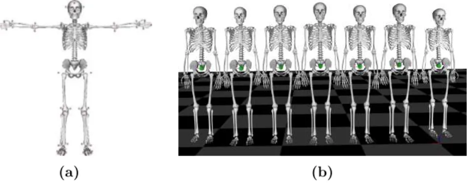 Figure 2.3: In (a), a virtual skeleton model created based on OpenSim models which can be used for scaling human anthropometry
