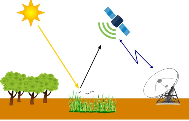 Figure 2.1: La t´ el´ ed´ etection passive par des capteurs satellitaires.