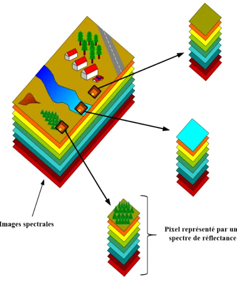 Figure 2.2: Exemple d’une image hyperspectrale.