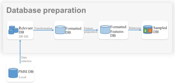 Fig. 6.1 The PMSI database preparation for Machine Learning analysis