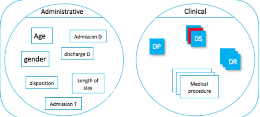 Fig. 6.2 The PMSI information classification by ATIH