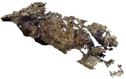 Figure 2.20 – Maillage obtenu avec le FARO focus 3D après fusion des données et décimation du maillage (maillage final composé de 15 millions de faces et 8 millions de points).