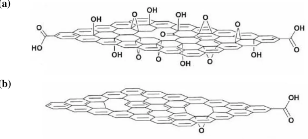 Figure  2.3.  Structural  models  of  (a)  graphene  oxide  showing  hydroxyl  and  carbonyl 