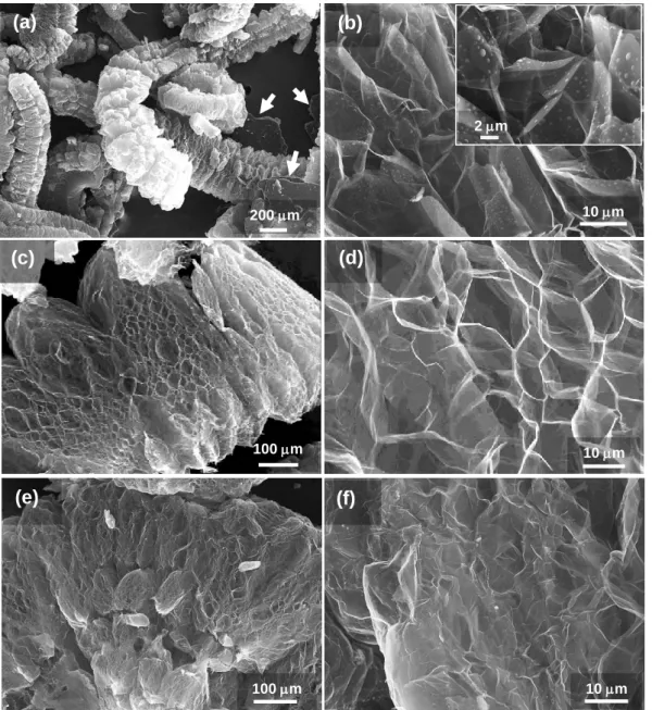 Figure  3.5.  FEG-SEM  micrographs  of  EG  powders  prepared  by  abrupt  heating  of  expandable   