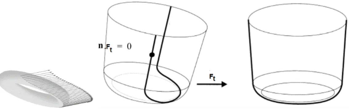 Figure 21: Courbe enveloppe [ Tournier , 2001 ].