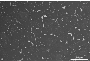 Figure III.4 Micrographie MEB de la surface de l’EL21T5 après attaque métallographique 