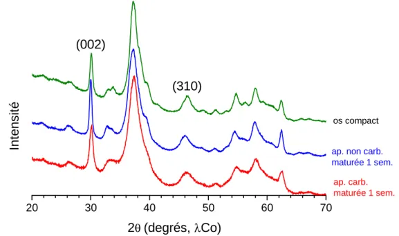 Figure I-12 Diagrammes de diffraction aux rayons X d'un os compact humain (vert) et des  apatites nanocristallines de synthèse biomimétiques maturées 1 semaine : apatite  carbonatée (hac S4, rouge) ; apatite non carbonatée synthétisée (hap S3, bleue)  (anticathode au cobalt) (JCPDS, 9-432) 