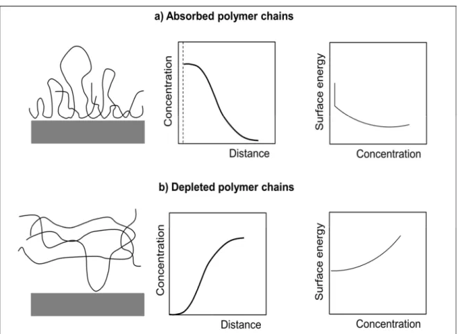 Figure  1.  8.  Adsorption  and  Depletion  of  polymer  chains  on  surface:  a)  Illustration  of  absorbed 