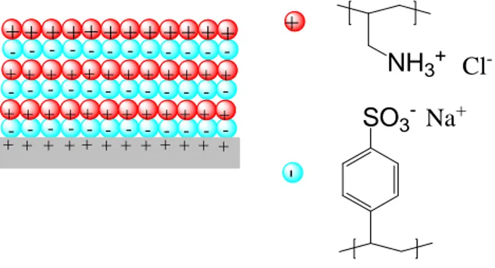Figure  1.  9.  Example  of  adsorption  of  polyelectrolytes  on  surfaces:  Consecutively  alternating 