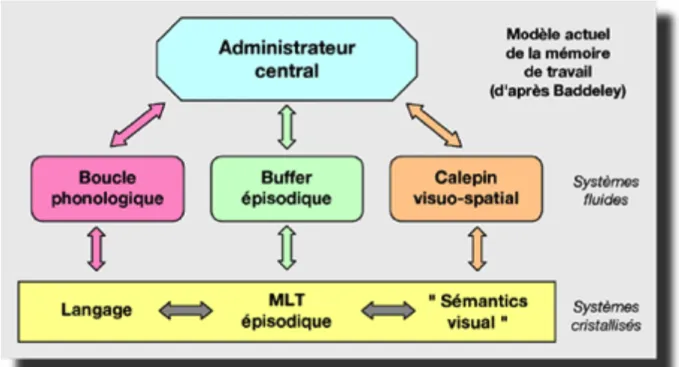 Figure 3. Schéma de la mémoire de travail (Baddeley, 2000) 