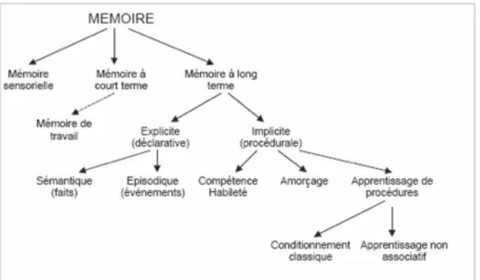 Figure 4. Les différents types de memoires selon Tulving (1984)