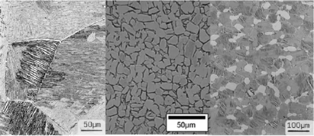 Figure 0.5 : Les microstructures du titane, de gauche à droite ; lamellaire, equiaxe et bimodale [Lutjering1]