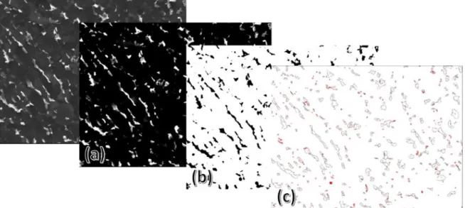 Figure 0.6 : Traitements des images MEB de la microstructure via imageJ. 
