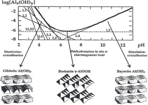Figure 7 : Diagramme de solubilité de l'aluminium à température ambiante, et influence du pH sur la  nature des espèces cristallines