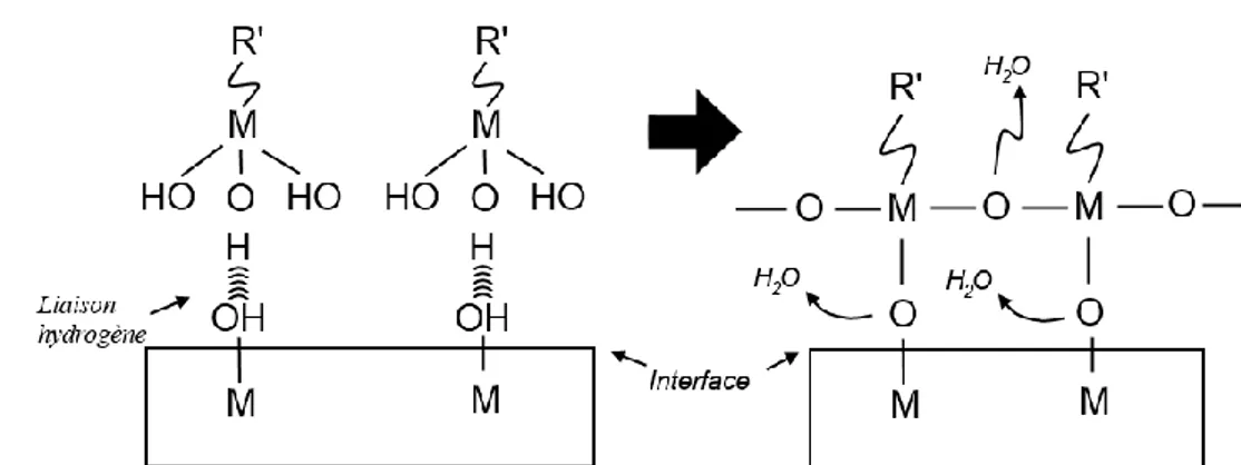 Figure 6. Schématisation des réactions interfaciales entre un dépôt issu de la voie sol-gel et un substrat  métallique [137,141]