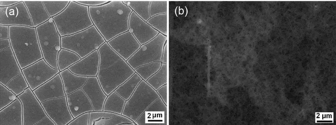 Figure 15. Observation par MEB de la surface de la couche anodique (a) et le système duplex couche  anodique/hybride sol-gel (b), étudiés par Hu et al