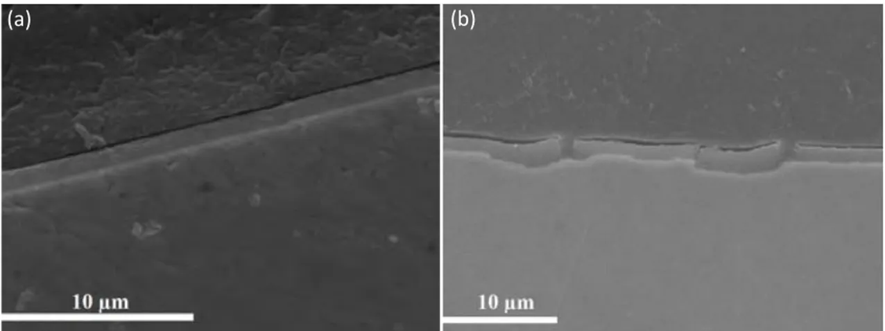 Figure 41 : Micrographies MEB, en coupe perpendiculaire au sens de laminage du revêtement déposé sur les  substrats (a) « laminé miroir » (Ra = 0,03µm) et (b) « laminé mat » (Ra = 0,5µm), traités à 250°C