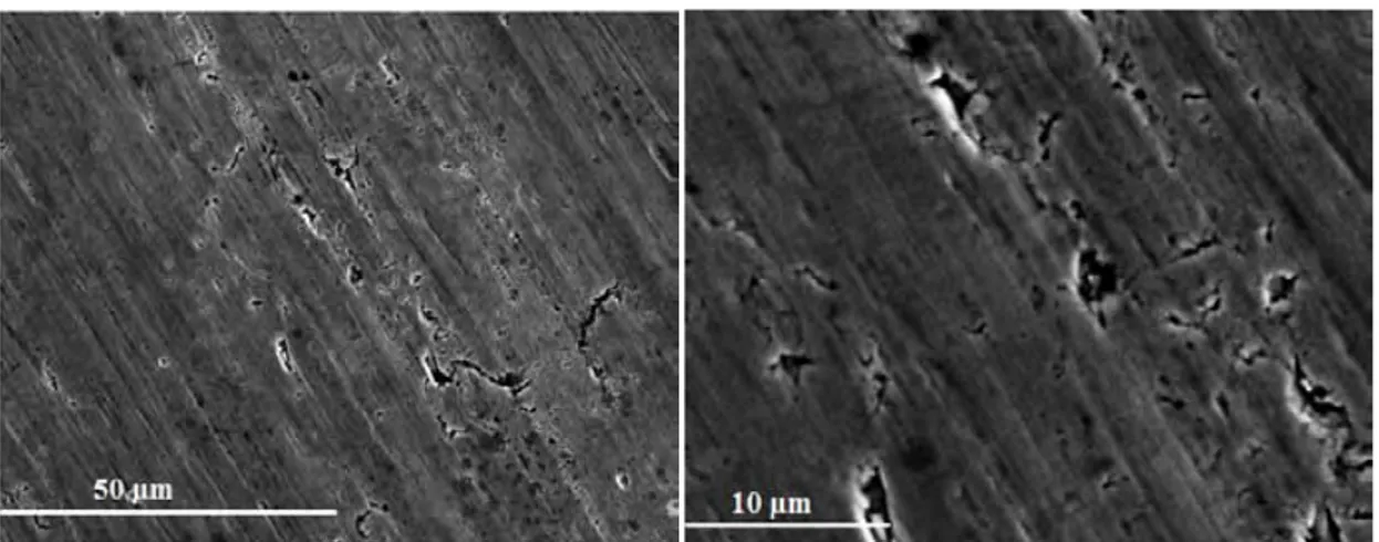 Figure 1 : Micrographies MEB de l’acier inoxydable 15-5PH « laminé miroir » après préparation de surface 
