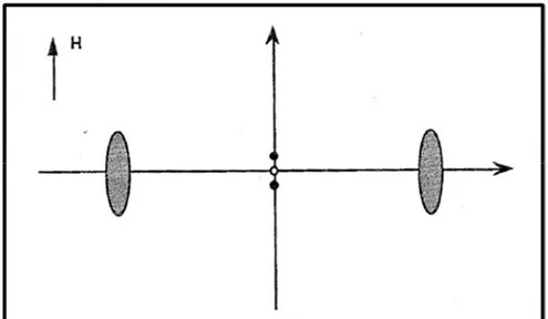 Figure 20 : Figure de diffraction des rayons X par une phase SmA orientée. [17] 