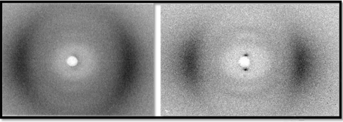 Figure 22 : Images de diffraction de rayons X par la phase nématique (à gauche) et par la phase  smectique (à droite) du PCL orienté à base polysiloxane que nous utilisons