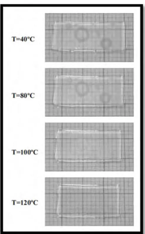 Figure 25 : Images de la contraction de l’ECL tribloc RNR en fonction de la température