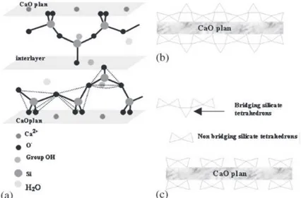 Figure I-6 Illustration des degrés de connectivité des tétraèdres de silicium et de leur nomenclature en RMN du  silicium [Chen, 2007] 
