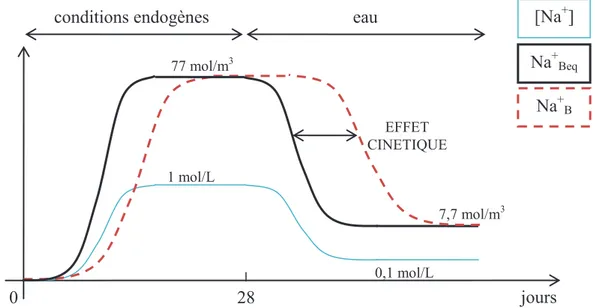 Figure II-16 Evolution de la concentration en alcalins en solution, de la quantité d’alcalins fixés dans les C-S-H  réelle et théorique