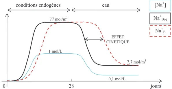 Figure II-16 Evolution de la concentration en alcalins en solution, de la quantité d’alcalins fixés dans les C-S-H  réelle et théorique