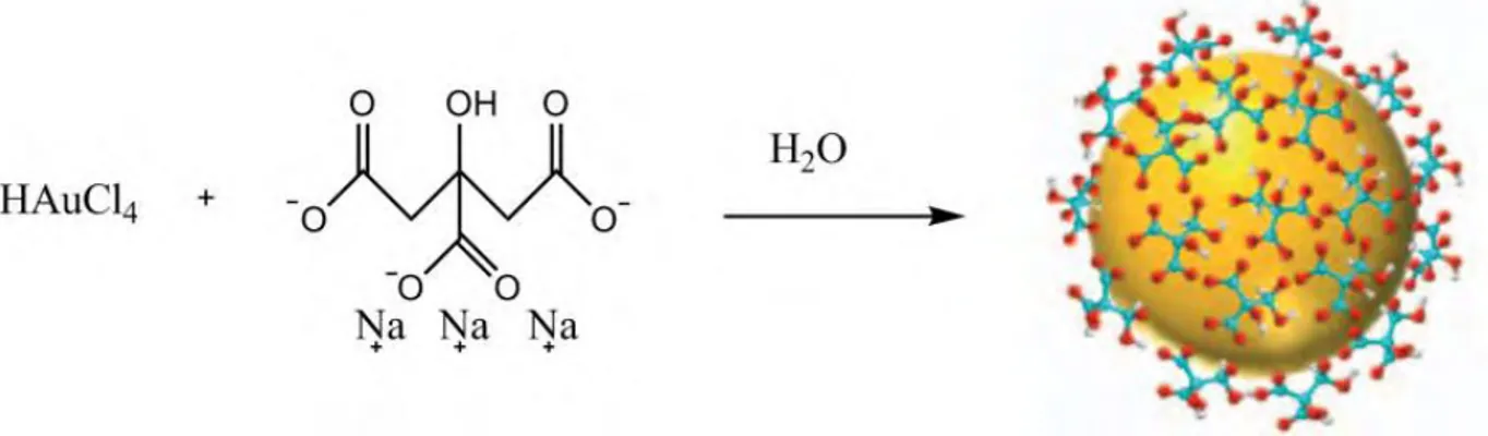 Figure 3. Méthode de Turkevich pour synthétiser des solutions colloïdales d’or.