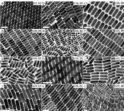 Figure 9. Images MET caractéristique obtenue pour des solutions de nanobâtonnets d’or de