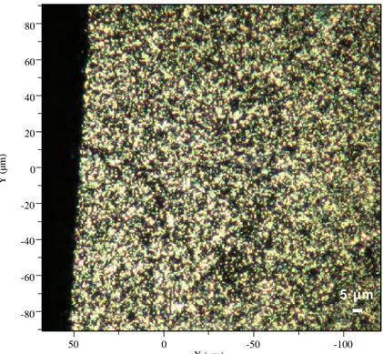 Figure 23. Dépôt des nanoparticules d’or sur lequel ont été réalisées les mesures