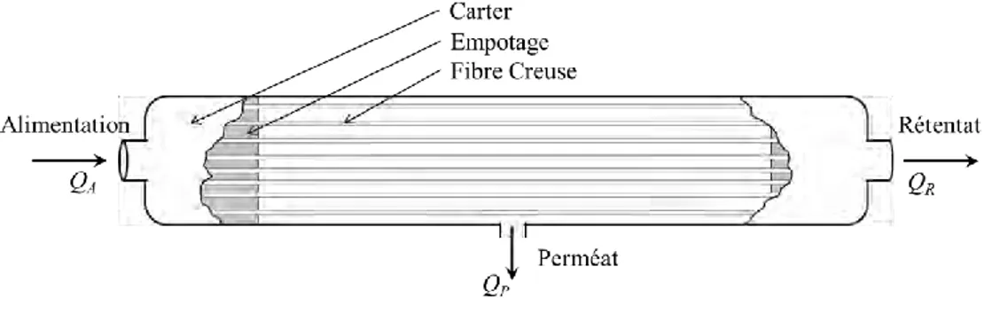 Figure I.5 – Schéma d’un module de fibres creuses en filtration tangentielle interne / externe 