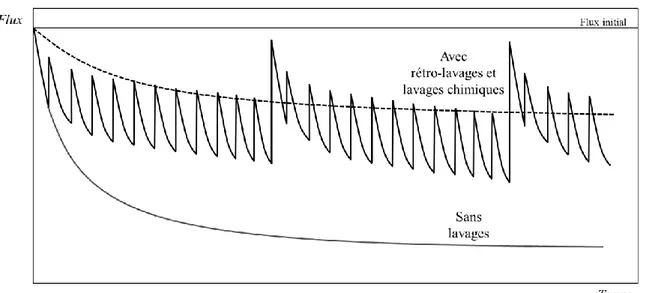 Figure  I.8  –  Représentation  schématique  de  l’impact  combiné  de  rétro-lavages  et  de  lavages 
