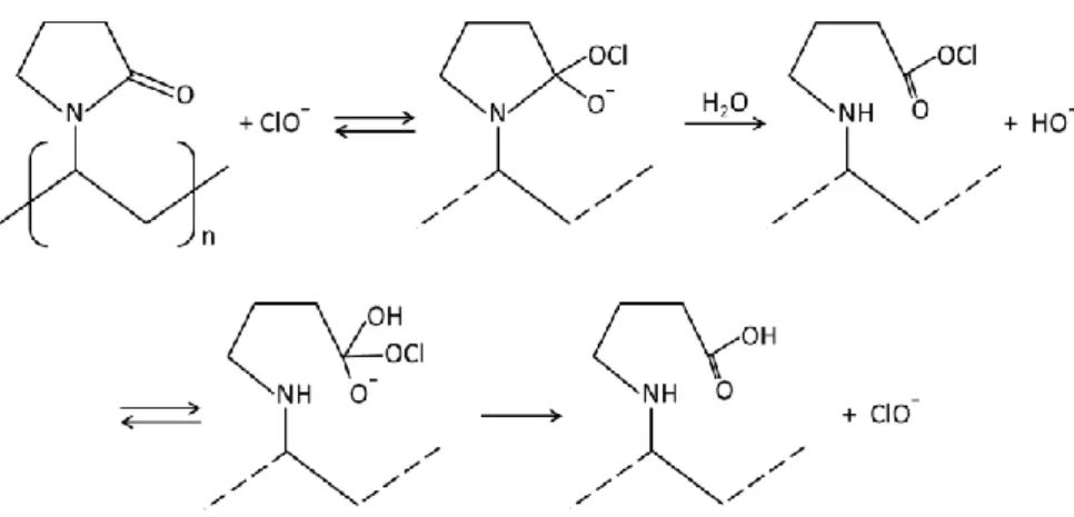 Figure I.14 – Réaction de la PVP avec ClO  -  en milieu alcalin, ouverture de cycle de la PVP (Wienk et 