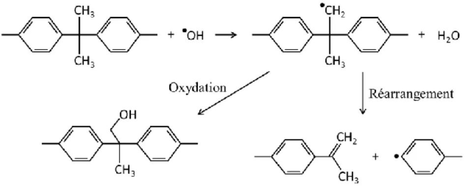 Figure  I.15  –  Rupture  de  chaîne  de  la  PSf  par  oxydation  au  niveau  du  groupement  sulfone 