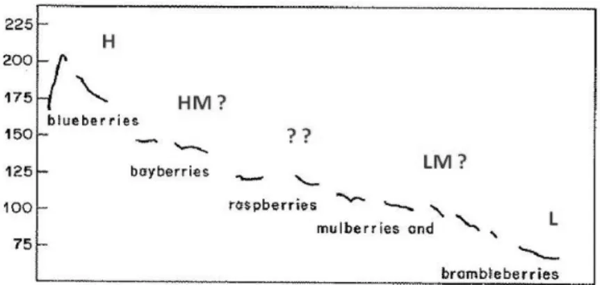 Figure 5 : Exemple d’un stepping pattern réalisé sur l’énoncé «  blueberries,  bayberries,  raspberries,  mulberries  and  brambleberries » 